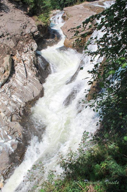 Pensiunea Cascada Putnei Lepşa 외부 사진